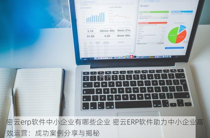 密云erp软件中小企业有哪些企业 密云ERP软件助力中小企业高效运营：成功案例分享与揭秘