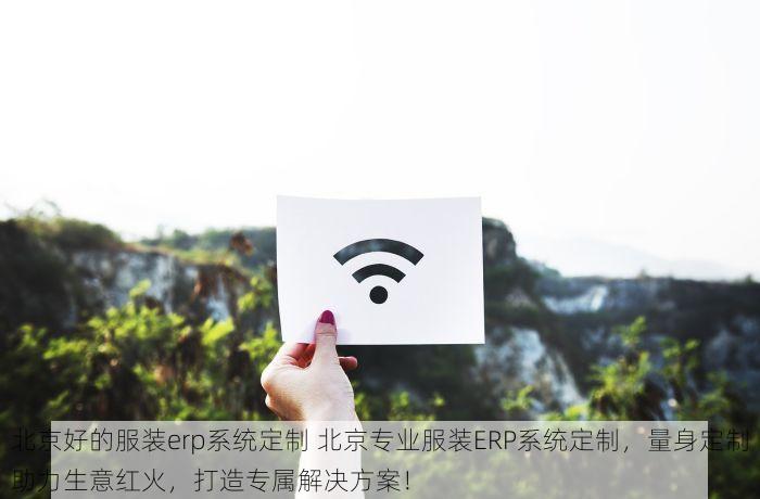北京好的服装erp系统定制 北京专业服装ERP系统定制，量身定制助力生意红火，打造专属解决方案！