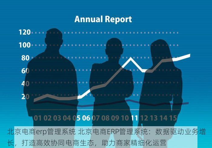 北京电商erp管理系统 北京电商ERP管理系统：数据驱动业务增长，打造高效协同电商生态，助力商家精细化运营