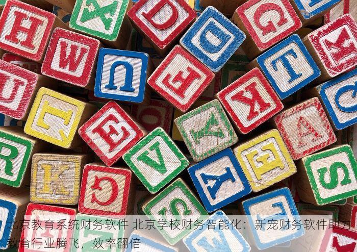 北京教育系统财务软件 北京学校财务智能化：新宠财务软件助力教育行业腾飞，效率翻倍