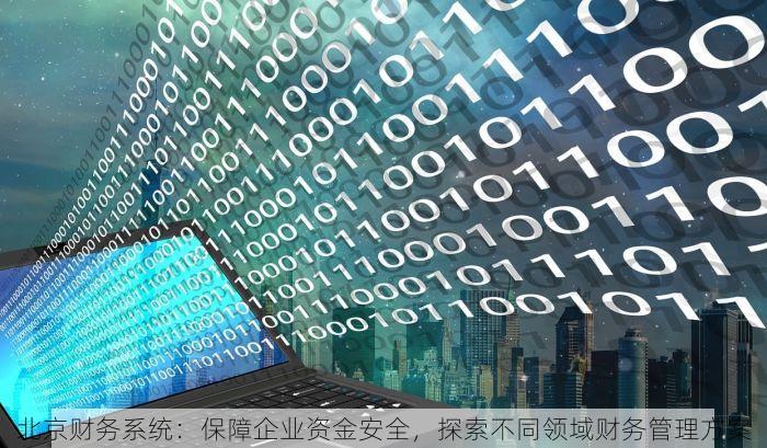 北京财务系统：保障企业资金安全，探索不同领域财务管理方案