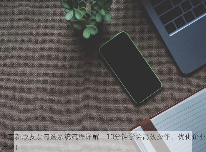 北京新版发票勾选系统流程详解：10分钟学会高效操作，优化企业运营！