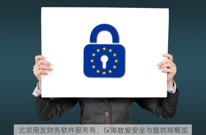 北京用友财务软件服务商：保障数据安全与提供商概览