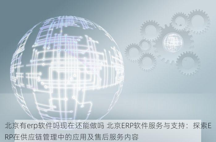 北京有erp软件吗现在还能做吗 北京ERP软件服务与支持：探索ERP在供应链管理中的应用及售后服务内容