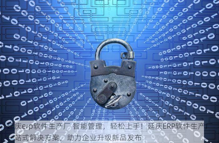 延庆erp软件生产厂 智能管理，轻松上手！延庆ERP软件生产厂一站式解决方案，助力企业升级新品发布