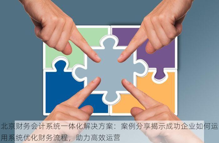 北京财务会计系统一体化解决方案：案例分享揭示成功企业如何运用系统优化财务流程，助力高效运营