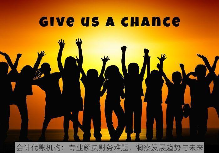 北京会计代账机构：专业解决财务难题，洞察发展趋势与未来展望