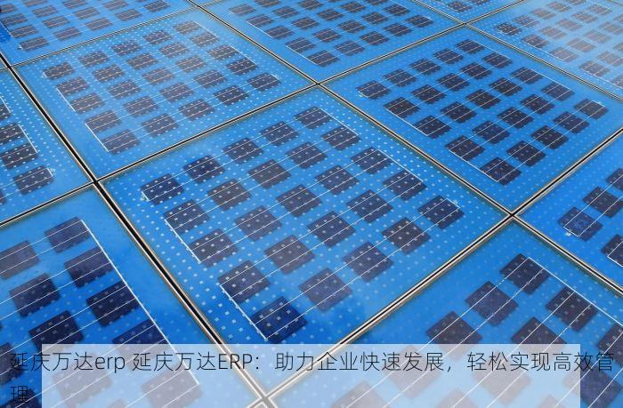 延庆万达erp 延庆万达ERP：助力企业快速发展，轻松实现高效管理