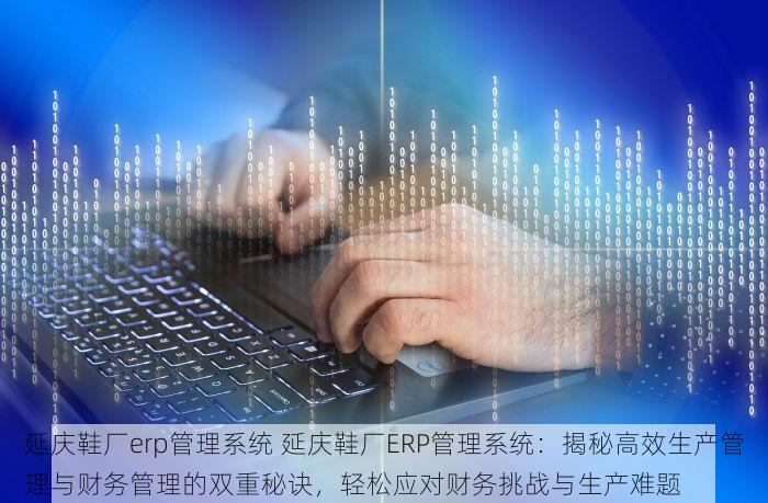 延庆鞋厂erp管理系统 延庆鞋厂ERP管理系统：揭秘高效生产管理与财务管理的双重秘诀，轻松应对财务挑战与生产难题