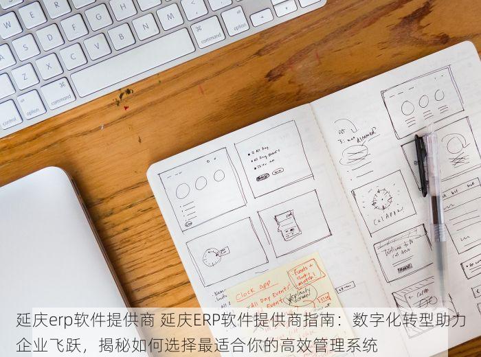 延庆erp软件提供商 延庆ERP软件提供商指南：数字化转型助力企业飞跃，揭秘如何选择最适合你的高效管理系统