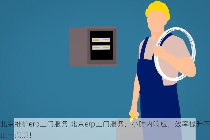北京维护erp上门服务 北京erp上门服务，小时内响应，效率提升不止一点点！