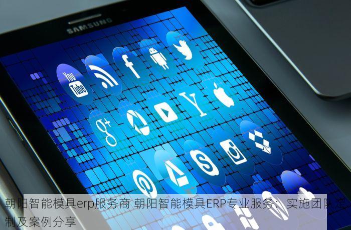 朝阳智能模具erp服务商 朝阳智能模具ERP专业服务：实施团队定制及案例分享