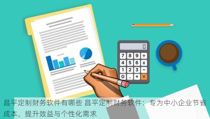 昌平定制财务软件有哪些 昌平定制财务软件：专为中小企业节省成本，提升效益与个性化需求