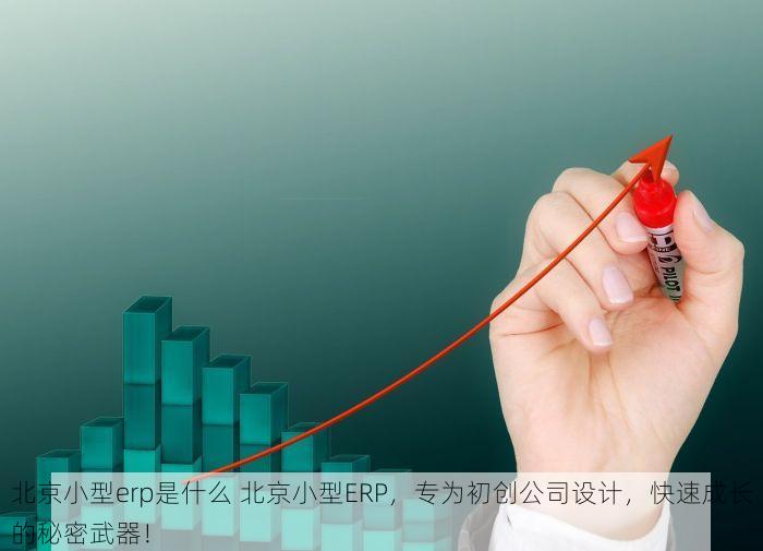 北京小型erp是什么 北京小型ERP，专为初创公司设计，快速成长的秘密武器！