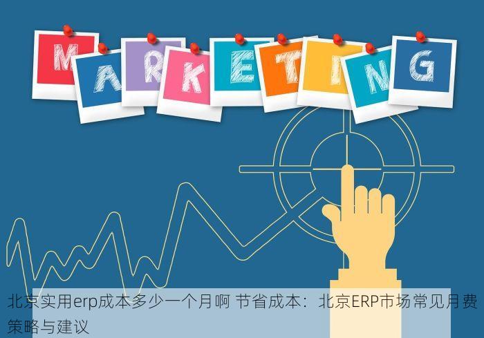北京实用erp成本多少一个月啊 节省成本：北京ERP市场常见月费策略与建议