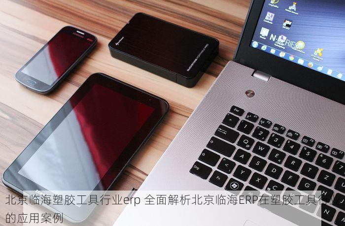 北京临海塑胶工具行业erp 全面解析北京临海ERP在塑胶工具行业的应用案例