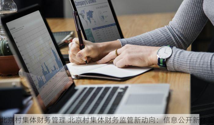 北京村集体财务管理 北京村集体财务监管新动向：信息公开新体验