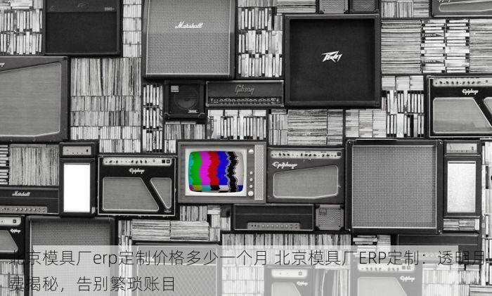 北京模具厂erp定制价格多少一个月 北京模具厂ERP定制：透明月费揭秘，告别繁琐账目