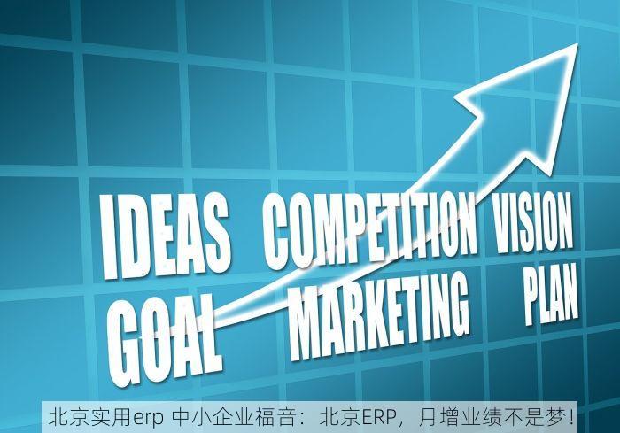 北京实用erp 中小企业福音：北京ERP，月增业绩不是梦！