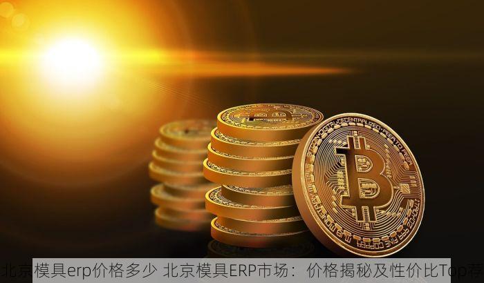 北京模具erp价格多少 北京模具ERP市场：价格揭秘及性价比Top荐