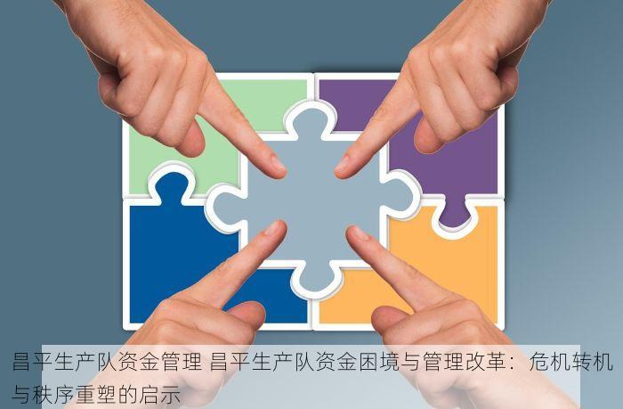 北京财税代账软件有哪些 北京代账软件：高效记账，合规避税的智能选择