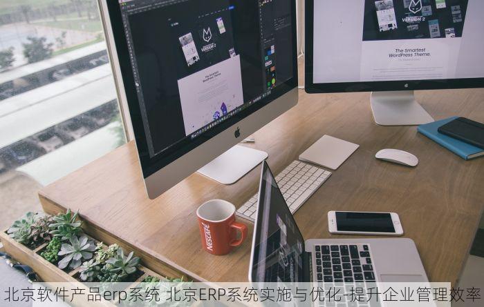 北京软件产品erp系统 北京ERP系统实施与优化-提升企业管理效率
