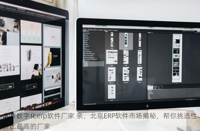 北京数字化erp软件厂家 亲，北京ERP软件市场揭秘，帮你挑选性价比最高的厂家