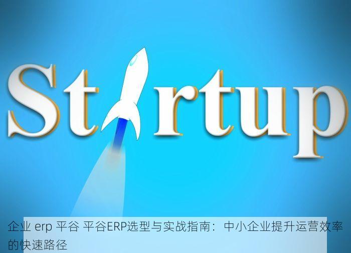 企业 erp 平谷 平谷ERP选型与实战指南：中小企业提升运营效率的快速路径