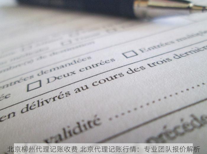 北京柳州代理记账收费 北京代理记账行情：专业团队报价解析