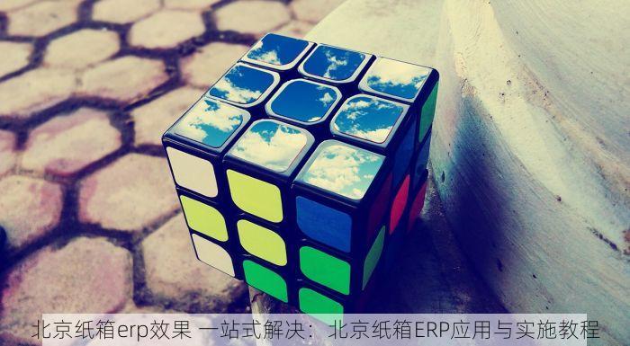 北京纸箱erp效果 一站式解决：北京纸箱ERP应用与实施教程