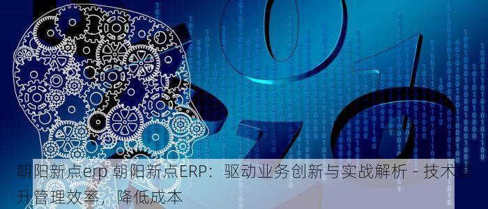 朝阳新点erp 朝阳新点ERP：驱动业务创新与实战解析 - 技术提升管理效率，降低成本