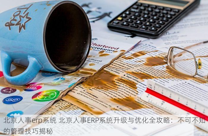 北京人事erp系统 北京人事ERP系统升级与优化全攻略：不可不知的管理技巧揭秘