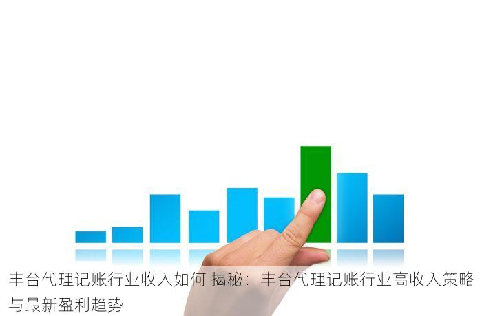 丰台代理记账行业收入如何 揭秘：丰台代理记账行业高收入策略与最新盈利趋势