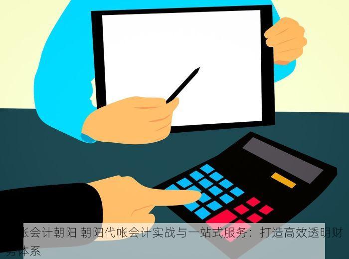 代帐会计朝阳 朝阳代帐会计实战与一站式服务：打造高效透明财务体系