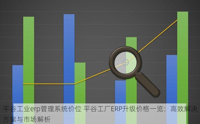 平谷工业erp管理系统价位 平谷工厂ERP升级价格一览：高效解决方案与市场解析