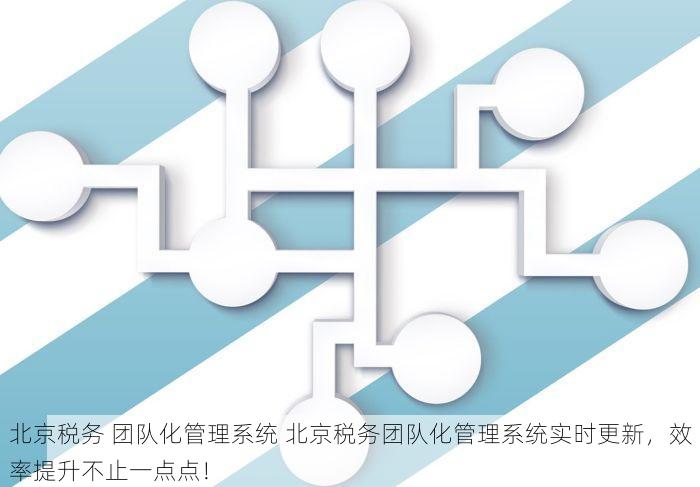 北京税务 团队化管理系统 北京税务团队化管理系统实时更新，效率提升不止一点点！