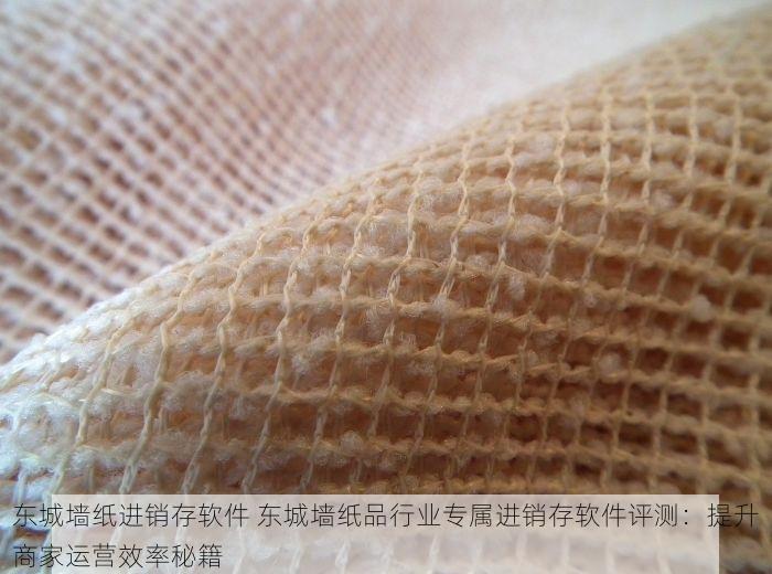 东城墙纸进销存软件 东城墙纸品行业专属进销存软件评测：提升商家运营效率秘籍