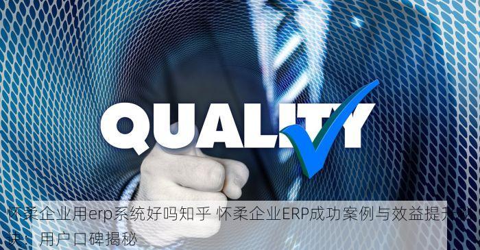 怀柔企业用erp系统好吗知乎 怀柔企业ERP成功案例与效益提升秘诀：用户口碑揭秘