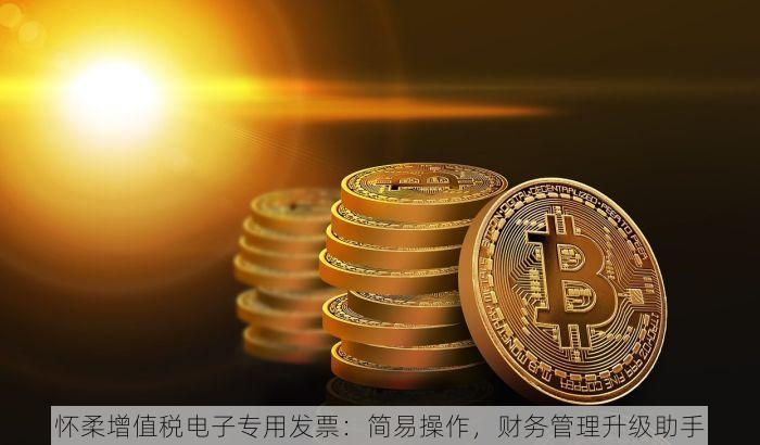 怀柔增值税电子专用发票：简易操作，财务管理升级助手
