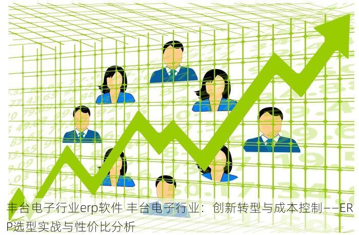 丰台电子行业erp软件 丰台电子行业：创新转型与成本控制——ERP选型实战与性价比分析