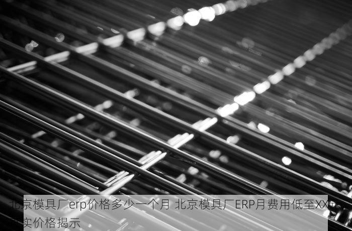 北京模具厂erp价格多少一个月 北京模具厂ERP月费用低至XX元，真实价格揭示