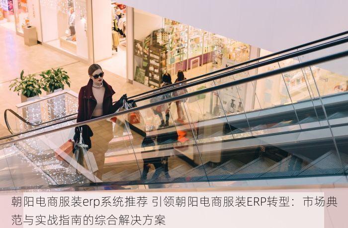 朝阳电商服装erp系统推荐 引领朝阳电商服装ERP转型：市场典范与实战指南的综合解决方案