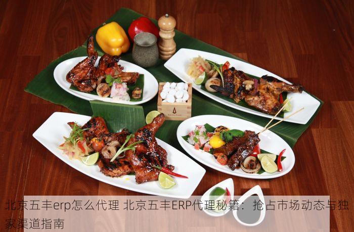 北京五丰erp怎么代理 北京五丰ERP代理秘籍：抢占市场动态与独家渠道指南