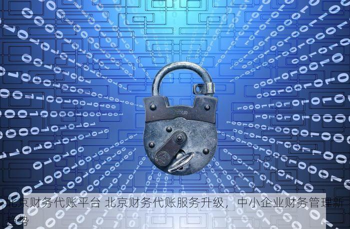 北京财务代账平台 北京财务代账服务升级，中小企业财务管理新趋势
