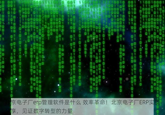 顺义经贸erp 顺义经贸ERP：商机把握与数据管理的全能助手