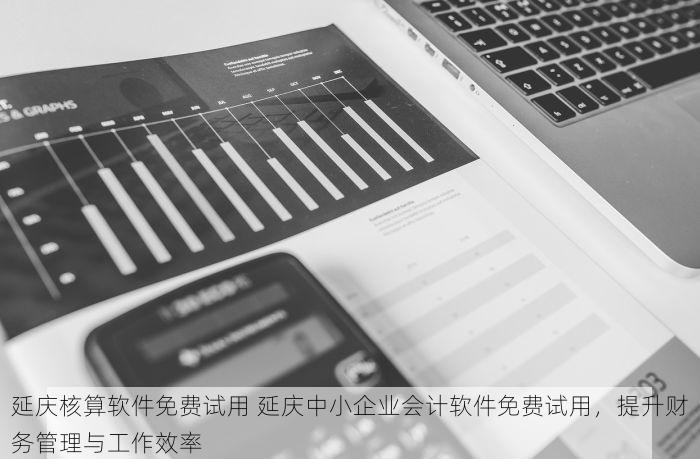 延庆核算软件免费试用 延庆中小企业会计软件免费试用，提升财务管理与工作效率