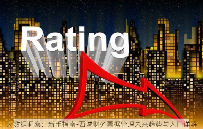 大数据洞察：新手指南-西城财务票据管理未来趋势与入门详解