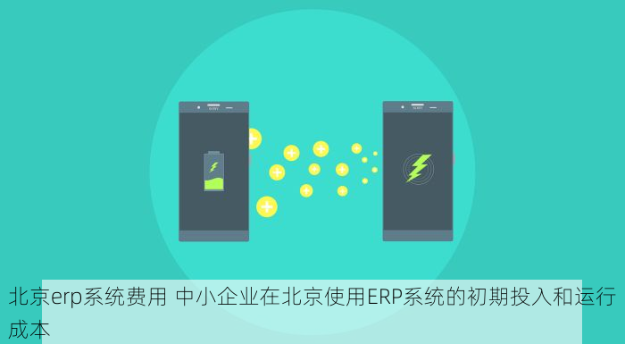 北京erp系统费用 中小企业在北京使用ERP系统的初期投入和运行成本