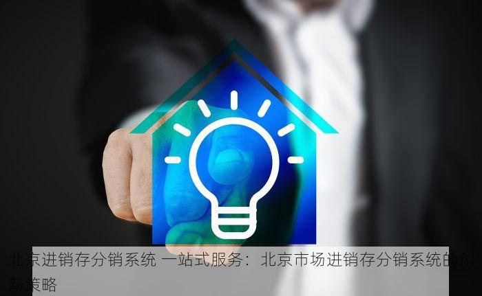 北京进销存分销系统 一站式服务：北京市场进销存分销系统的创新策略