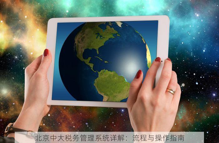 北京中大税务管理系统详解：流程与操作指南